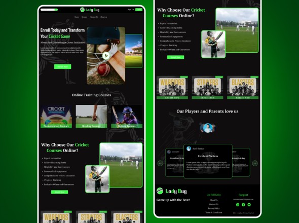 portfolio